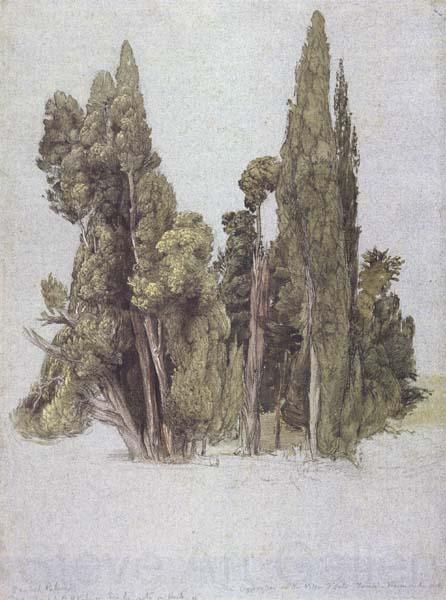 Samuel Palmer The Cypresses at the Villa d'Este France oil painting art